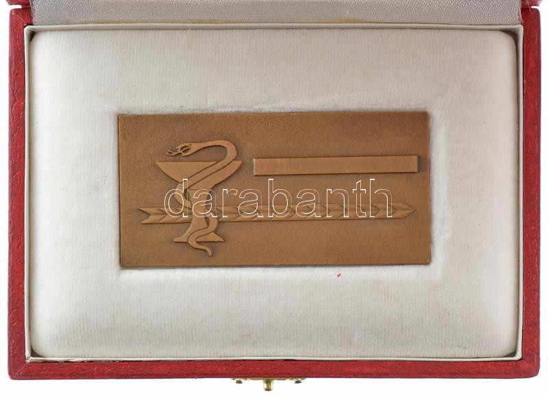 1977. 'Máv. Kórház és Központi Rendelőintézet 1927-1977, Budapest' bronz emlékplakett eredeti tokban (40x80mm) T:1 - Image 2