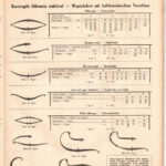 1922 Bíró Béla kocsi- és autóalkatrész árjegyzék, foltos, szakadással, 72p - Image 2