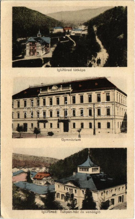 1917 Iglófüred, Spisská Nová Ves Kupele, Novovesské Kúpele; látkép, Gimnázium, Tulpán ház és vendéglő / general view, grammar school, villa, restaurant, spa (EK)