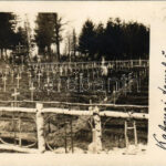 Berezhany, Brzezany, Berezsani; első világháborús katonai temető / WWI K.u.k. military cemetery. photo