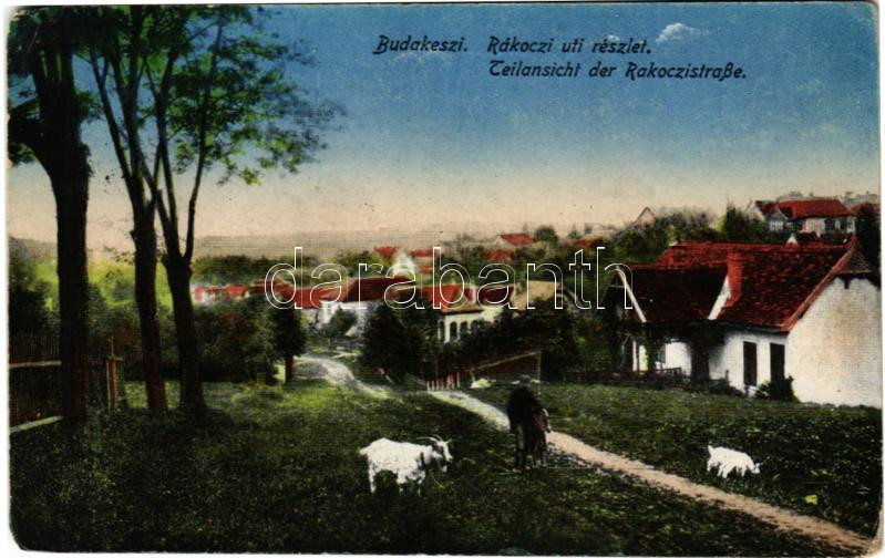 1942 Budakeszi, Rákóczi út, kecske (EK)