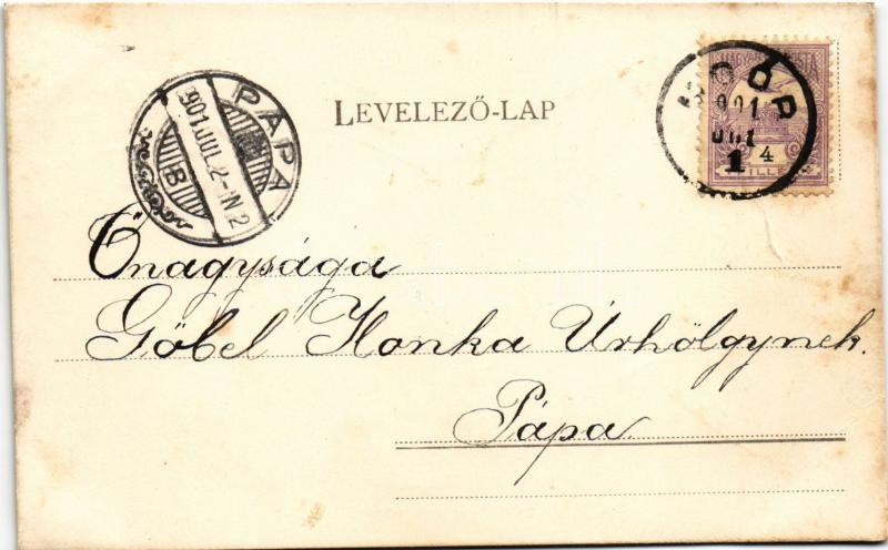 1901 Mór, Moór; szolgabíró hivatal, állami polgári iskola. Díszes litho (EB) - Image 2