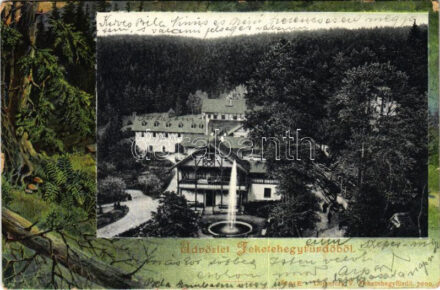 1904 Feketehegy-fürdő, Feketehegy, Schwartzenberg, Cernohorské kúpele (Merény, Vondrisel, Nálepkovo); fürdő, nyaralók. Lomniczy V. 7000. Szecessziós erdős keret / spa, villas. Art Nouveau, forest frame (fa)