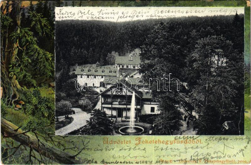 1904 Feketehegy-fürdő, Feketehegy, Schwartzenberg, Cernohorské kúpele (Merény, Vondrisel, Nálepkovo); fürdő, nyaralók. Lomniczy V. 7000. Szecessziós erdős keret / spa, villas. Art Nouveau, forest frame (fa)