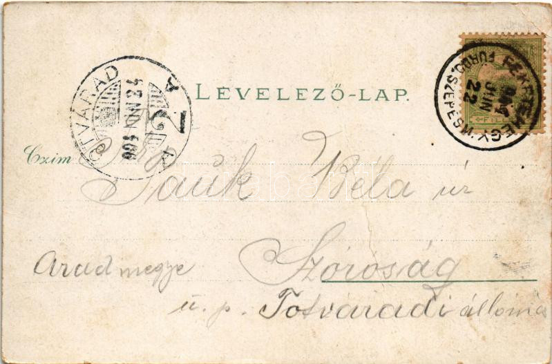 1904 Feketehegy-fürdő, Feketehegy, Schwartzenberg, Cernohorské kúpele (Merény, Vondrisel, Nálepkovo); fürdő, nyaralók. Lomniczy V. 7000. Szecessziós erdős keret / spa, villas. Art Nouveau, forest frame (fa) - Image 2