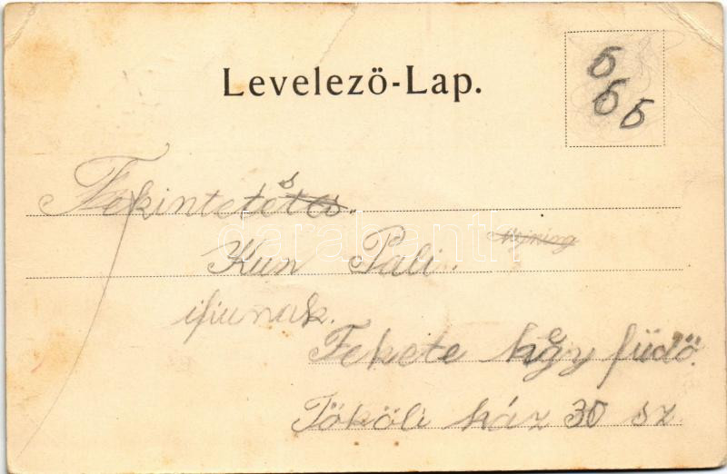 Feketehegy-fürdő, Feketehegy, Schwartzenberg, Cernohorské kúpele (Merény, Vondrisel, Nálepkovo); Fürdő, nyaralók. Szecessziós, virágos litho keret / spa, villas. Art Nouveau, floral, litho frame (fa) - Image 2