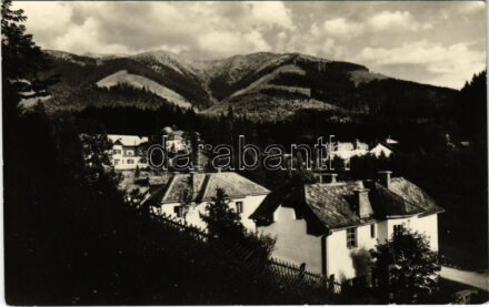 1954 Koritnyica, Korytnica; látkép / spa (EK)