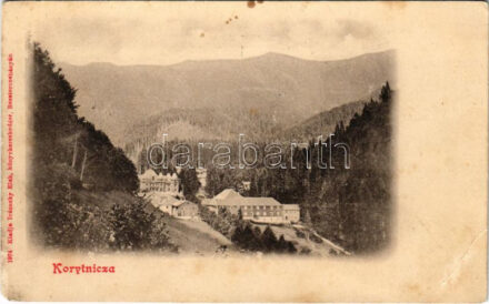 Koritnyica, Korytnica; látkép. Ivánszky Elek kiadása / spa, general view (EB)