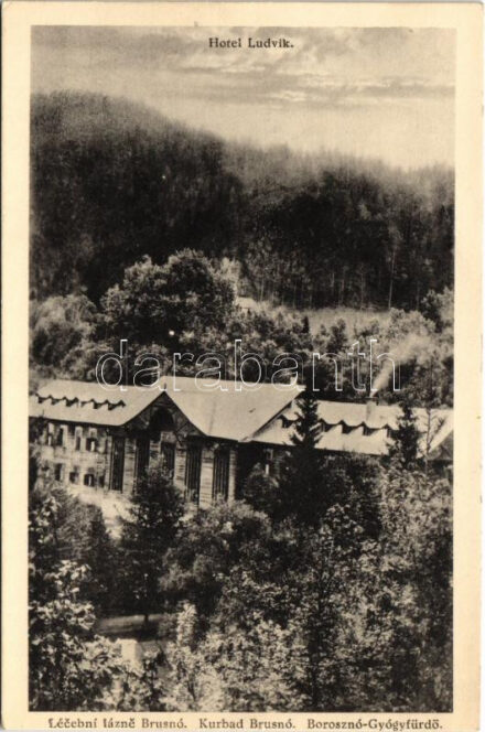Borosznófürdő, Brusno-kúpele (Borosznó, Brusznó, Brusno); Hotel Ludvik szálloda / hotel, spa