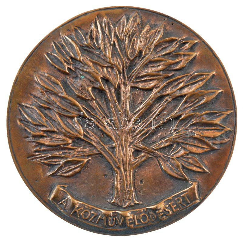 ~1970-1980. 'A közművelődésért / Megyei Művelődési Központ Kecskemét' bronz emlékérem (91mm) T:1