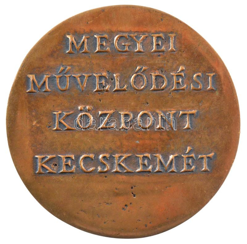 ~1970-1980. 'A közművelődésért / Megyei Művelődési Központ Kecskemét' bronz emlékérem (91mm) T:1 - Image 2