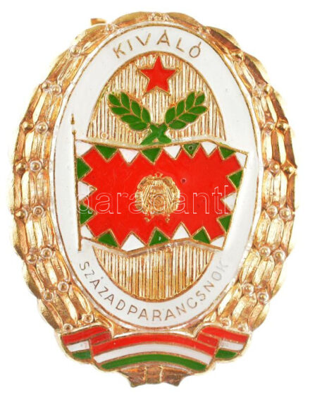 ~1970-1980. 'Kiváló Századparancsnok' aranyozott műgyantás jelvény (40x32mm) T:1-