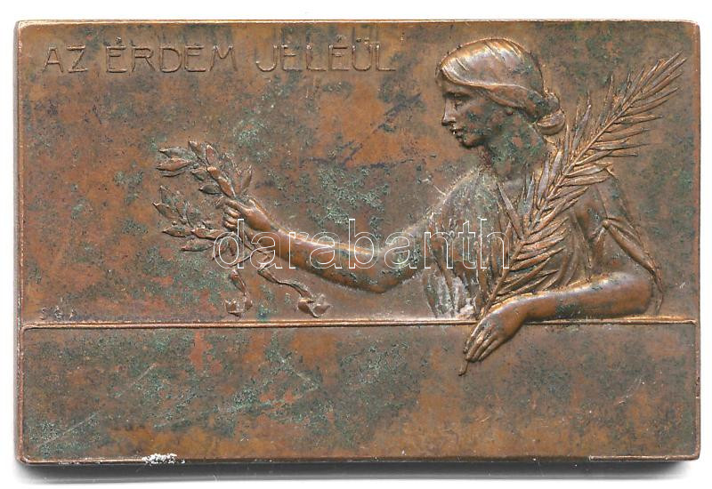 ~1910.(?) 'A Kolozsvári Ipartestület Kitüntetése - Iparosinasok Munkakiállítása' kétoldalas bronz plakett, 'SGA' gyártói jelzéssel (38x57mm) T:1-,2 patina - Image 2