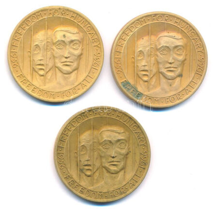 Kanada 1966. 'Szabadságot Magyarországnak 1956-1966 / Emlékül azoknak, akik soha nem adták meg magukat' (3x) bronz emlékérem. Szign.: Dora de Pédery-Hunt (39mm) T:1-,2 patina Canada 1966. 'Freedom for Hungary 1956-1966 / To commemorate