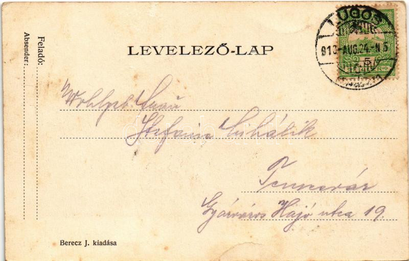 1910 Lugos, Lugoj; látkép. Berecz J. kiadása / general view (fl) - Image 2