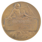1927. 'Énekkar - A munka elismeréséül 1927. VIII. 15 EMTE' kétoldalas bronz emlékérem (50mm) T:1- - Image 2