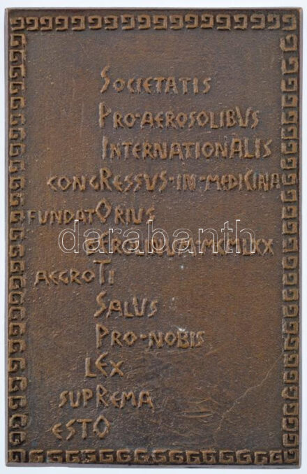 Németország 1970. 'Nemzetközi Aeroszol Konferencia 1970' kétoldalas bronz emlékplakett, adományozva T. Váli részére (150x95mm) T:1- Germany 1970. 'International Aerosol Conference 1970' two-sided bronze commemorative plaque 'SOCIETAS PRO