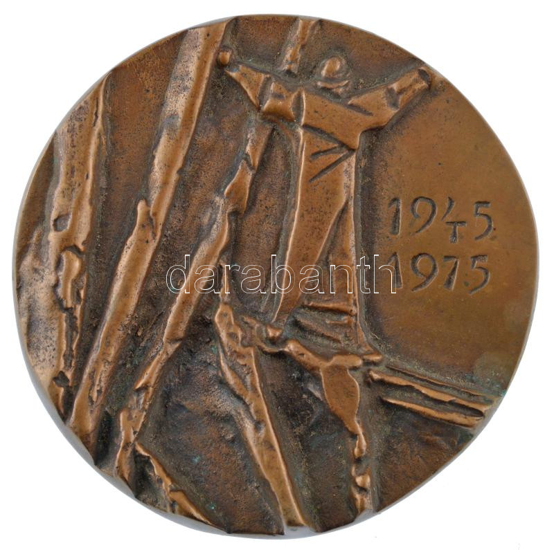1975. 'Felszabadulás 1945-1975' egyoldalas bronz emlékérem (98mm) T:2