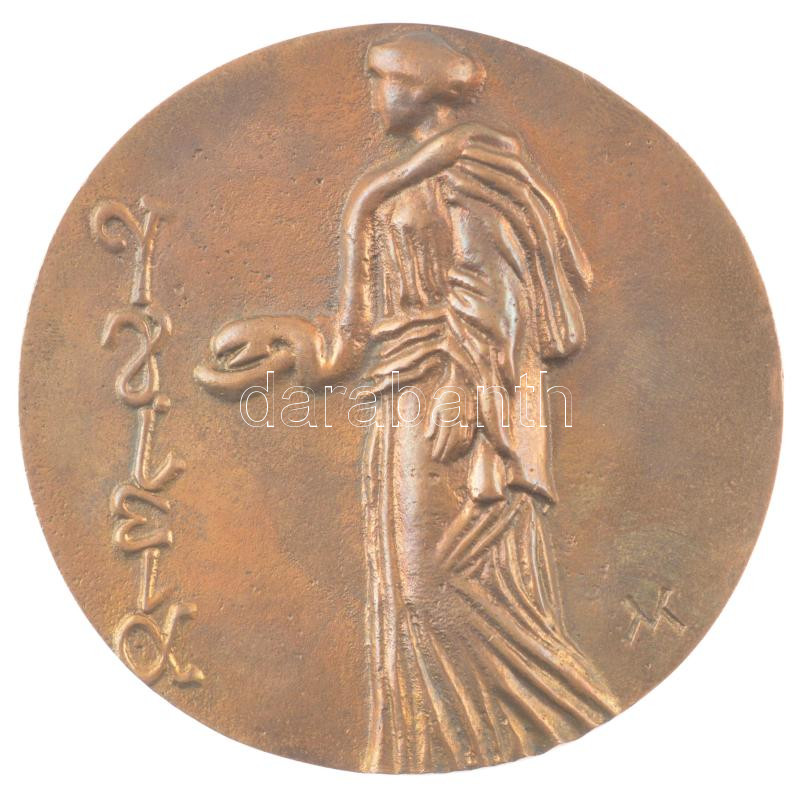 Váró Márton (1943-) 1970. 'Dr. Jeney Endre' kétoldalas, öntött bronz emlékérem (86mm) T:1- - Image 2