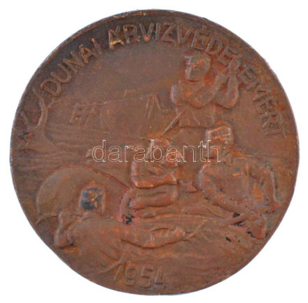 1954. 'A Duna árvízvédelméért' bronz jelvény tű nélkül (38mm) T:2 patina