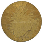 DN 'Ardere et Lucere' egyoldalas bronz emlékérem (78mm) T: 1- - Image 2