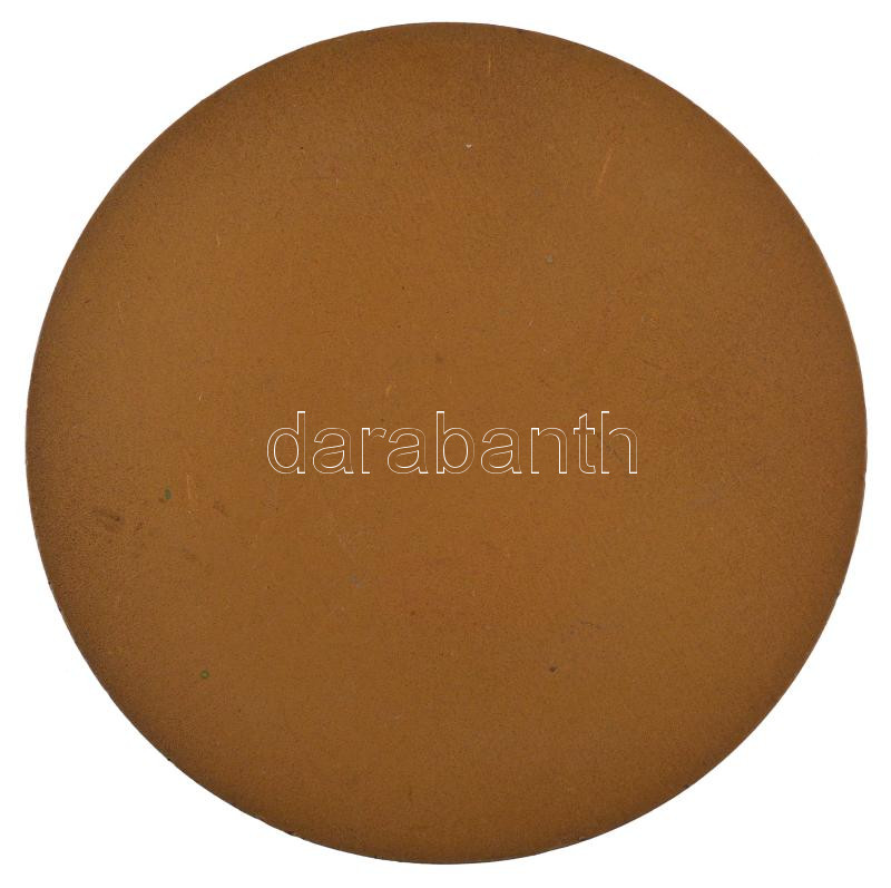 DN 'Eredményes Propaganda Munkáért' egyoldalas bronz emlékérem (70mm) T:1- - Image 2