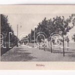Siófok, Háborgó Balaton, 'BAROSS' gőzös, gőzhajó. leporellolap 10 képpel. Sámuel Adolf kiadása (EB) - Image 2