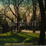 1916 Pola, Pula; Kaiserwald Siana / forest + 'Telegraphenbureau der K.u.k. Kriegsmarine' + 'K.u.k. Marinefeldpostamt' (EK)