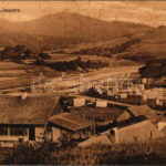 Yavora, Jawora, Iavora (Turka); Sägewerk / sawmill (wet damage)