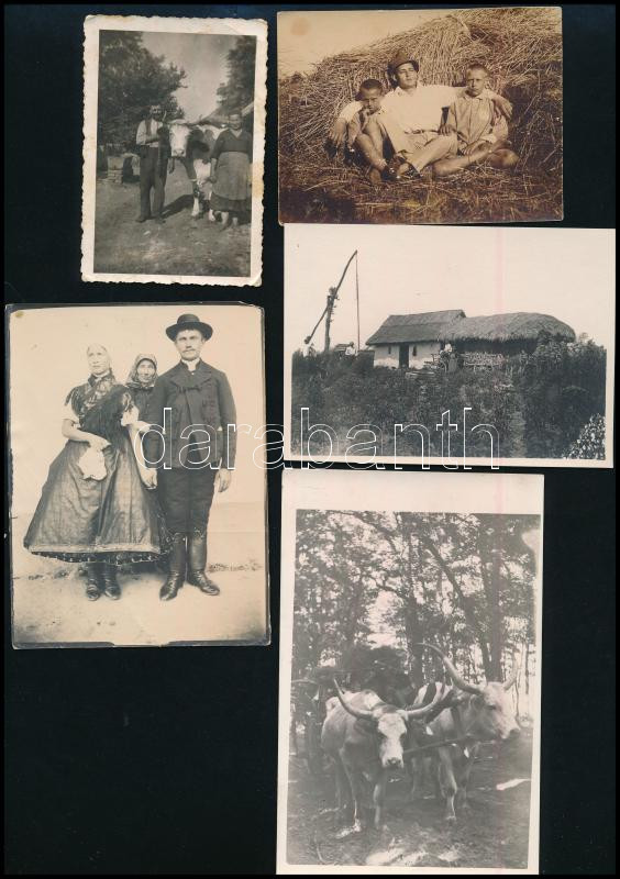cca 1930-1960 Vidéki életképek, 5 db fotó, 9×6 és 8,5×14 cm közötti méretekben