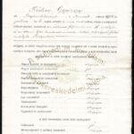 1917 Szeged, felsőkereskedelmi iskola érettségi bizonyítvány, pecséttel, aláírásokkal