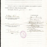 1917 Szeged, felsőkereskedelmi iskola érettségi bizonyítvány, pecséttel, aláírásokkal - Image 2