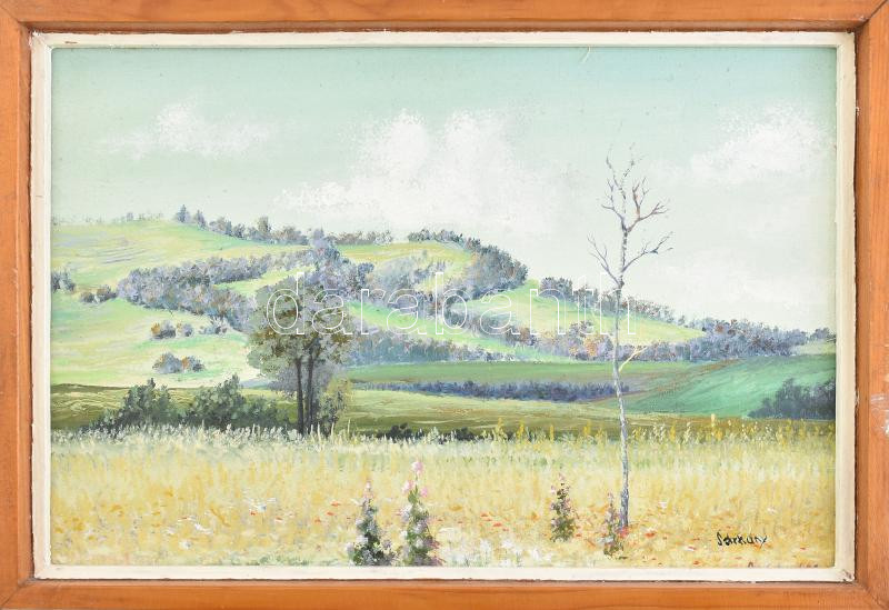 Sárkány Gyula (1887-1962): Tájkép. Olaj, vászon, jelzett, 26x38cm