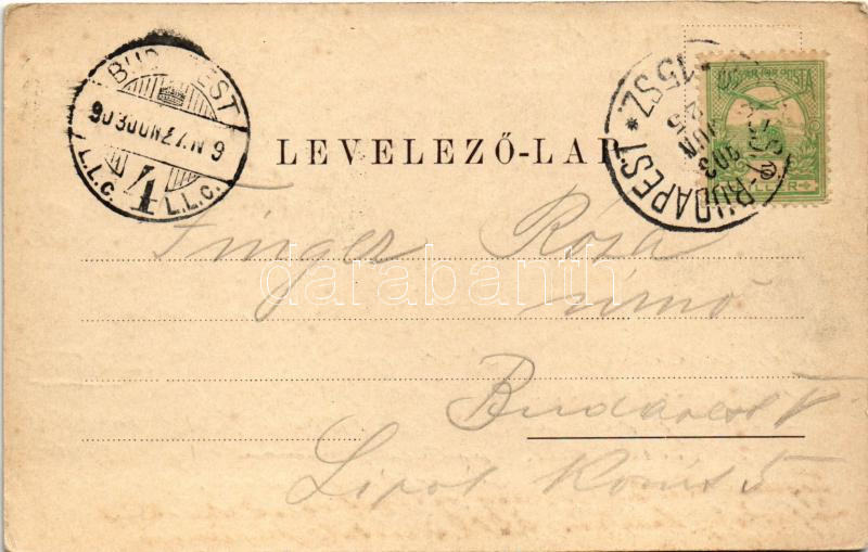 1903 Segesvár, Schässburg, Sighisoara; látkép. Zeidner H. kiadása / general view + 'BRASSÓ - BUDAPEST 15. SZ.' vasúti mozgóposta bélyegző (EK) - Image 2