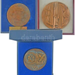 Szabó Iván (1913-1998) DN 'Győrffy István Kollégium 1942 XXX' egyoldalas bronz emlékérem sérült dobozában (88mm) + 'Magyar Testnevelési Egyetem 1925 Budapest' egyoldalas bronz emlékérem Tarnóczai Istvánné nevére szóló sérült - Image 2