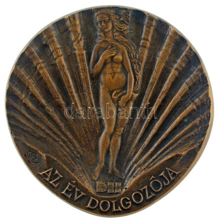 ~1990. 'DH (Danubius Hotels) - Az év dolgozója' kétoldalas bronz plakett. Szign.: SZGY (123mm) T:1-