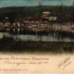 1900 Sopron, Oedenburg; Tómalom. L. F. Kummert kiadása / Teichmühle (fa)