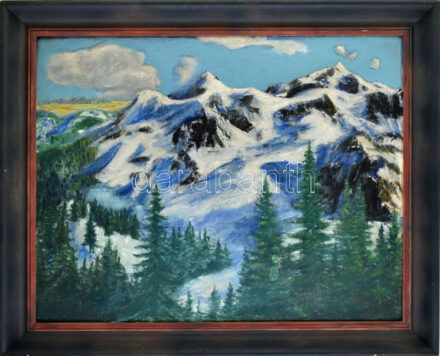 Jelzés nélkül: Havas hegyvidék. Olaj, karton, 55x70,5 cm. Dekoratív fakeretben.
