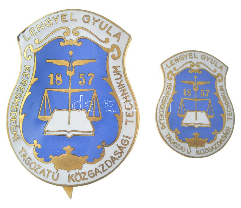 ~1960. 'Lengyel Gyula Kereskedelmi Tagozatú Közgazdasági Technikum' aranyozott, zománcozott sapkajelvény (43x33mm) + 'Lengyel Gyula Kereskedelmi Tagozatú Közgazdasági Technikum' aranyozott, zománcozott jelvény (26x20mm) T:1 zománchiba