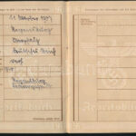 1941 Német Birodalmi munkakönyv, bejegyzésekkel, jó állapotban / Deutsches Reich Arbeitsbuch / German Third Reich workers ID booklet, in good condition - Image 2