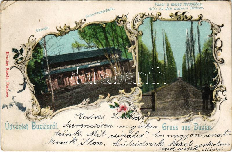 1901 Buziás; uszoda, Fasor a meleg fürdőhöz. Herrling Károly kiadása / Schwimmschule, Allee zur den warmen Bädern / swimming pool, spa, promenade to the spa. Art Nouveau, floral (EK)