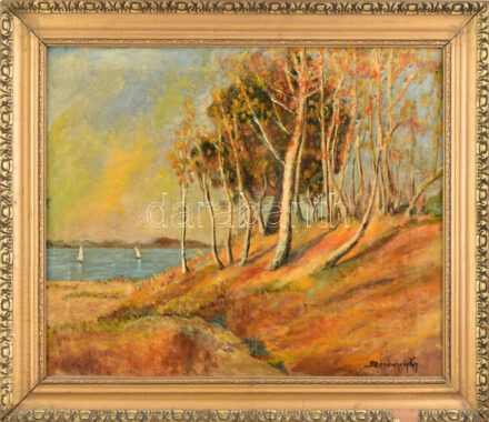 Szerdahelyi Gy. jelzéssel: Vitorlások. Olaj, vászon. Sérült. Dekoratív, sérült fakeretben. 48x55 cm