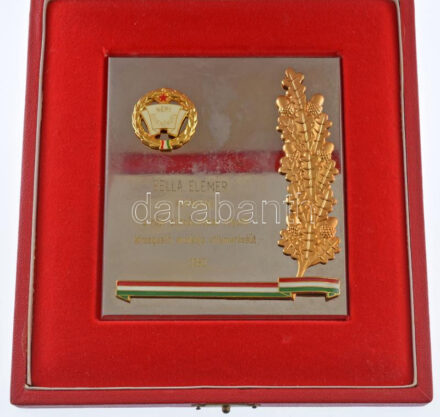 1982. 'Népi Ellenőrzés - Bella Elemér elvtársnak a népi ellenőrzésben végzett kimagasló munkája elismeréséül' műgyantás kitüntető jelvény krómozott plakettbe ágyazva eredeti dobozban (103x89mm) + 'Népi ellenőrzés 25'