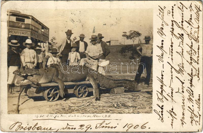 1906 Brisbane, Henry's Hotel Imperial, dead alligator from the Johnston River. photo (EB)