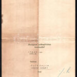 1913 Budapest Székesfőváros Tanácsa rendelvény címzetes igazgatóvá való előléptetésről - Image 2