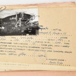 1959 Budapest, Római-part, motorcsónakázással, vízi jártassággal kapcsolatos iratok, Morgó III. motorcsónak fotója, forgalmi engedély, stb. - Image 2