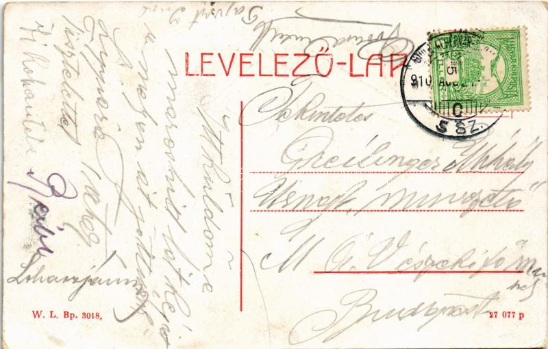 1910 Máriaradna, Radna (Lippa, Lipova); Maros folyó vashídja. W.L. Bp. 3018. / Eisenbrücke über den Maros-Fluss / iron bridge over Mures river (EK) - Image 2