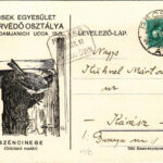1935 Széncinege (odúlakó madár). Mecsek Egyesület Madárvédő Osztálya, Pécs, Damjanich utca 13/3. / Great tit bird (Parus major)