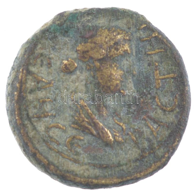 Római Birodalom / Lydia / Magnesia ad Sipylum Livia i.e. 37- 14 AE16 bronz (3,57g) T:3 patina, peremhiány Roman Empire / Lydia / Magnesia ad Sipylum Livia 37 BCE - 14 CE AE16 bronze 'Livia / Senate' (3,57g) C:F patina, missing edge - Image 2