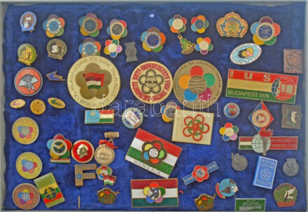 ~50 darabos vegyes jó állapotú magyar és külföldi kitűző tétel, közte műgyantás és zománcozott darabokkal, műanyag tálcán ~50 pieces mixed hungarian and foreign resin and enamelled pin lot in plastic tray